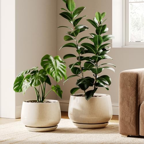 Alt Text for image 1: LE TAUCI Ceramic Plant Pots Set of 2, showcasing elegant design